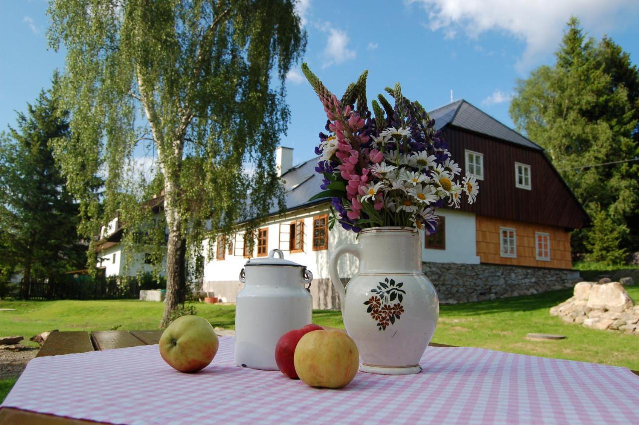 Apartment Novy Svet Na Sumave